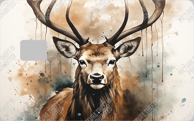 Bank  Card Sticker-BC-185